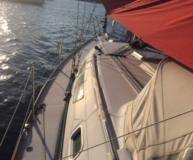 Jeannau-Sun-Fast-371